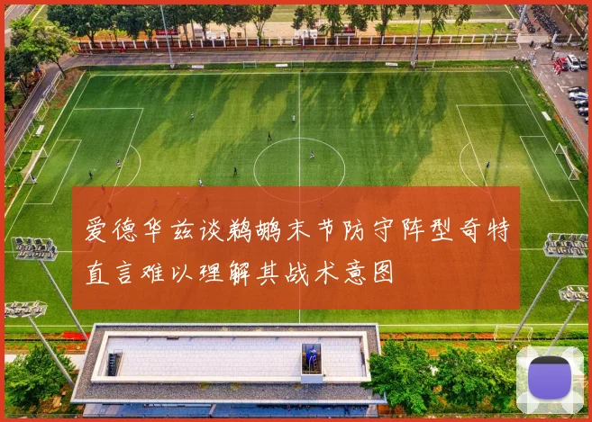 爱德华兹谈鹈鹕末节防守阵型奇特直言难以理解其战术意图